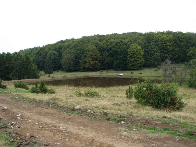 Szencsedi-tó vagy Fenyőkúti-tó